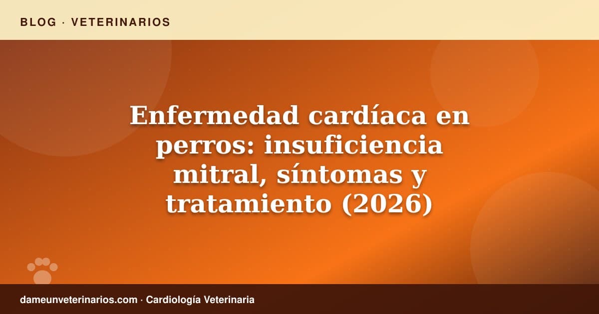 Enfermedad cardíaca en perros: insuficiencia mitral, síntomas y tratamiento (2026)