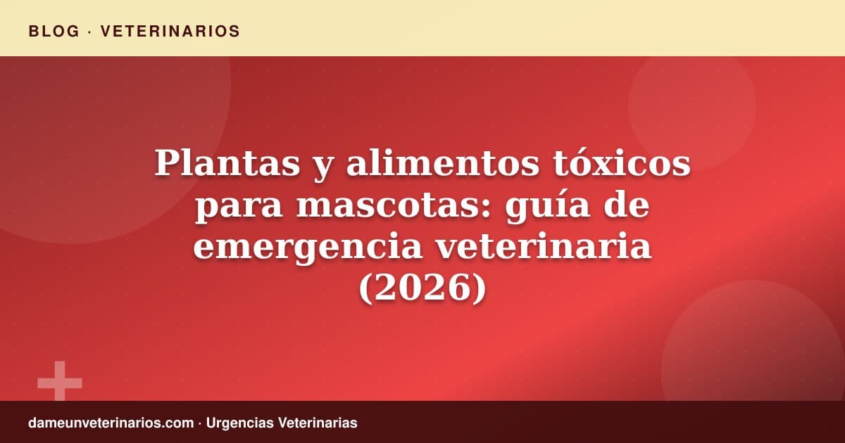 Plantas y alimentos tóxicos para mascotas: guía de emergencia veterinaria (2026)
